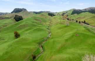 124 Haku Road, Mangaotaki