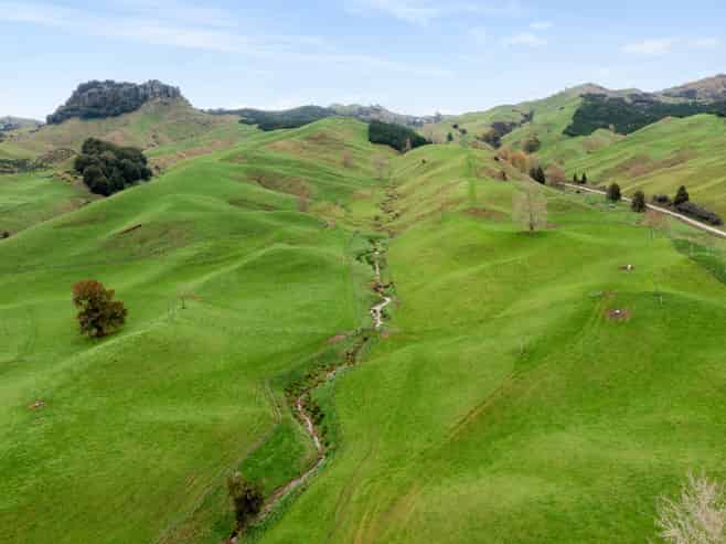 124 Haku Road, Mangaotaki