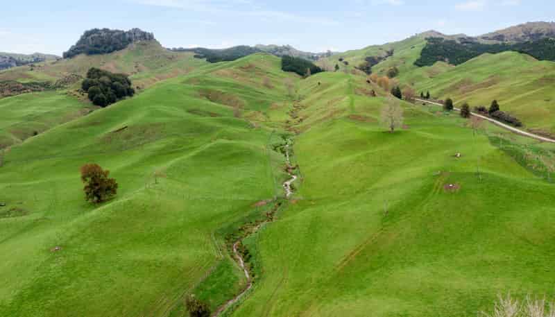 124 Haku Road, Mangaotaki