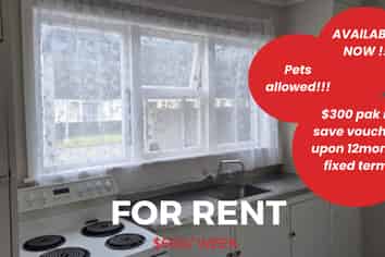 4 York Street, Outer Kaiti