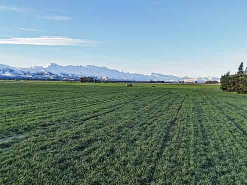 391 Hamilton Road, Fairlie