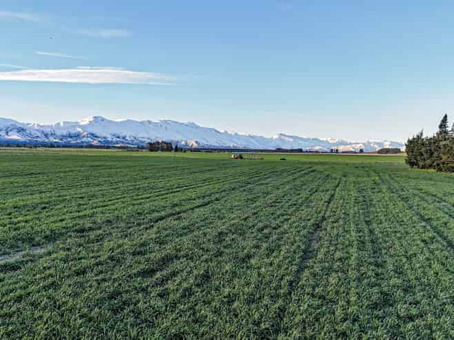 391 Hamilton Road, Fairlie