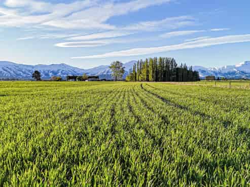 391 Hamilton Road, Fairlie