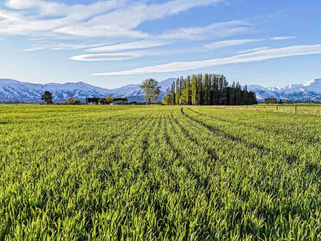 391 Hamilton Road, Fairlie