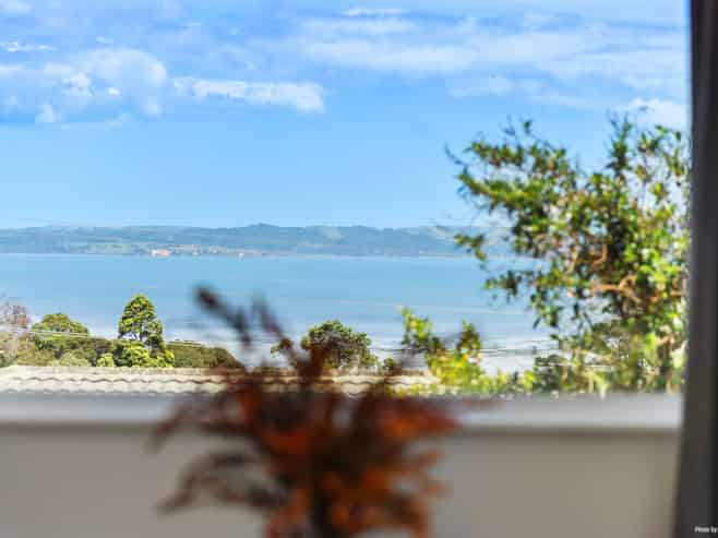 448 Hillsborough Road, Mount Roskill