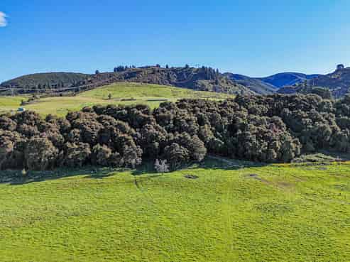 803 Te Moana Road, Geraldine