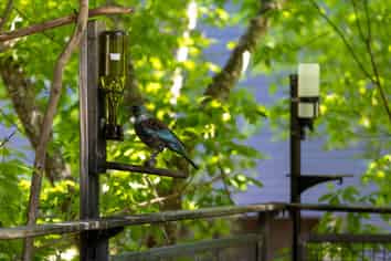 17A Smith Street, Akaroa