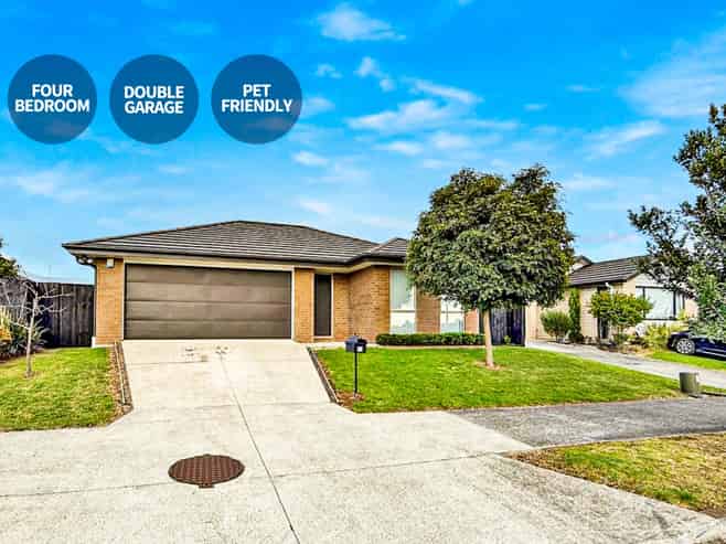 19 Rainsford Road, Pukekohe