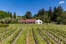 306 Te Mata Road, Havelock North, Hastings, Hawkes Bay