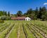 306 Te Mata Road, Havelock North, Hastings, Hawkes Bay