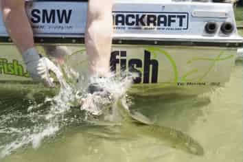 FishJet NZ – Unique Adventure Tourism Opportunity