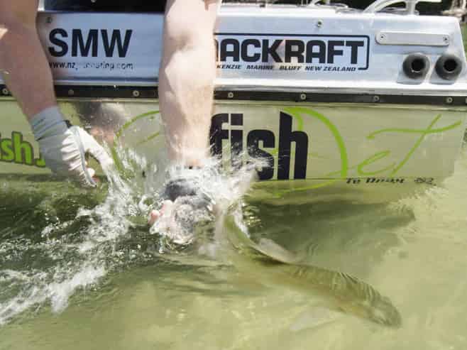 FishJet NZ – Unique Adventure Tourism Opportunity