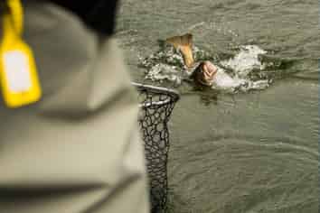 FishJet NZ – Unique Adventure Tourism Opportunity