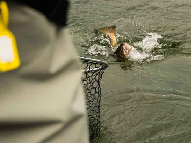 FishJet NZ – Unique Adventure Tourism Opportunity