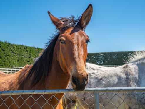 631 Burnham School Road, Burnham