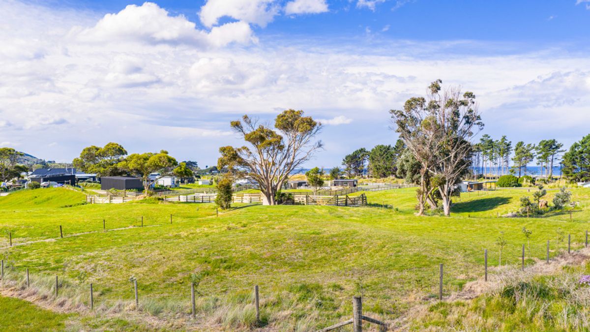 Secure Your Slice of Mahia Magic - LOT 12 - Widok 4
