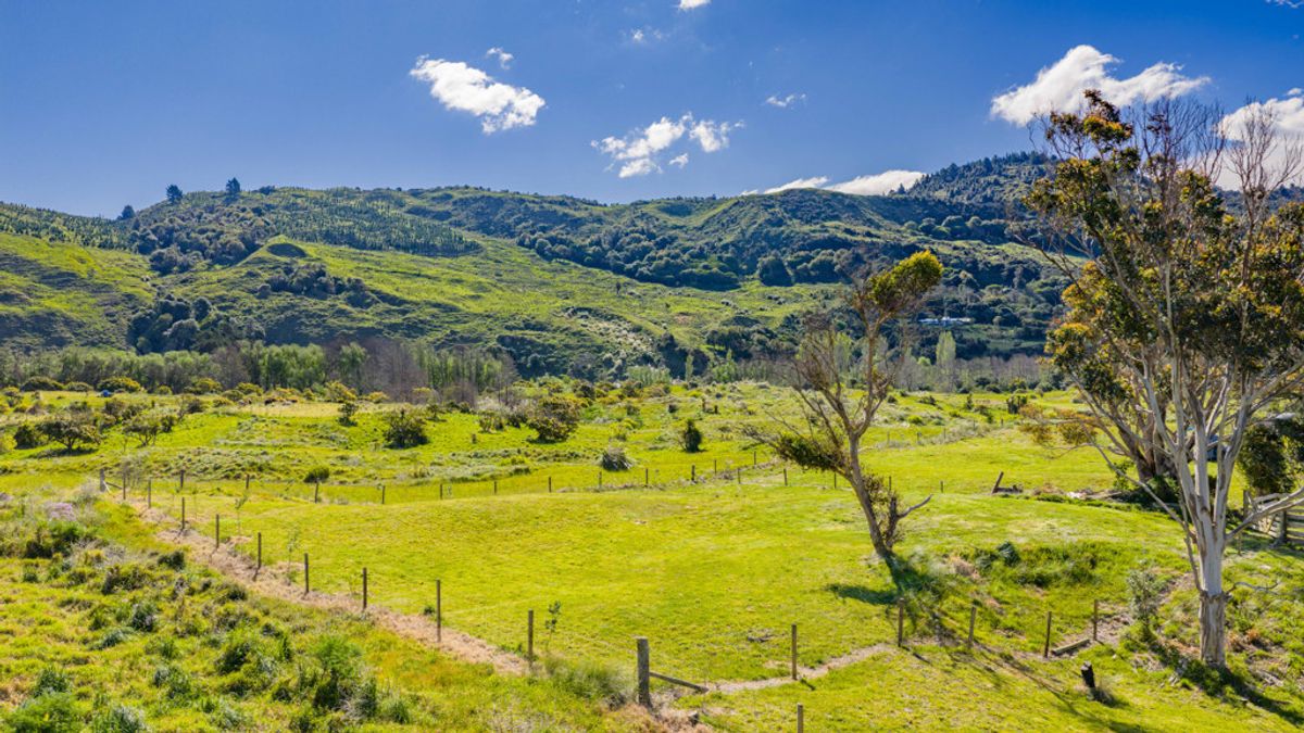 Secure Your Slice of Mahia Magic - LOT 12 - Widok 3