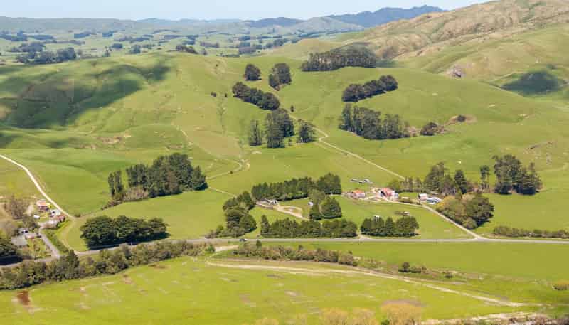 86 Mangatainoka Valley Road, Eketahuna
