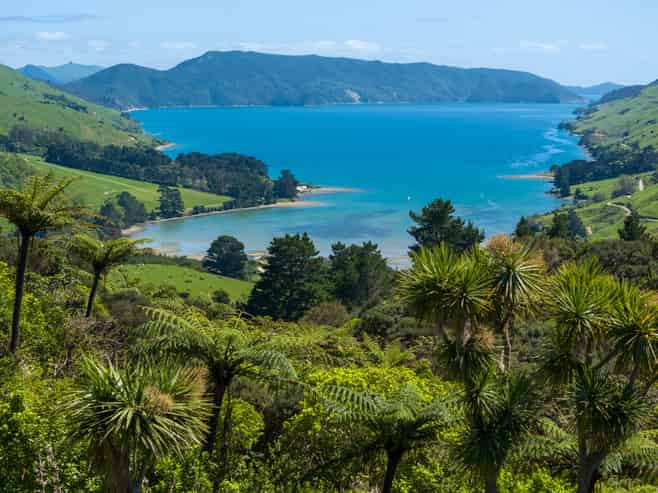 565 Anakoha Road, Marlborough Sounds