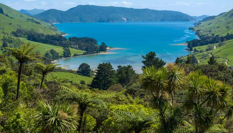 565 Anakoha Road, Marlborough Sounds