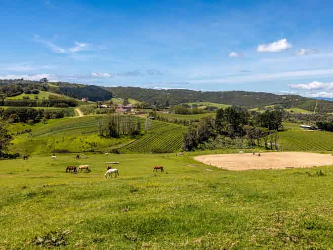 88A Onetangi Road, Onetangi