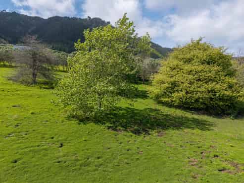 Lot 1, 59 Octavius Road, Peka Peka