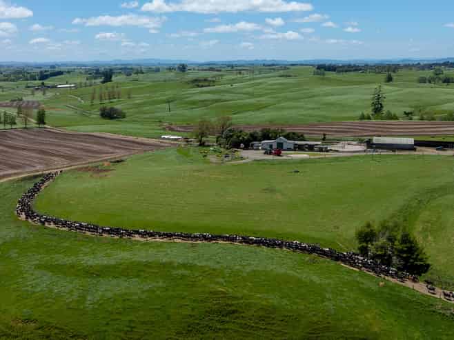 529 Waikokowai Road, Huntly