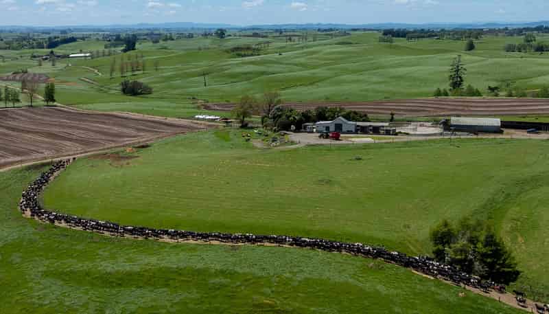 529 Waikokowai Road, Huntly