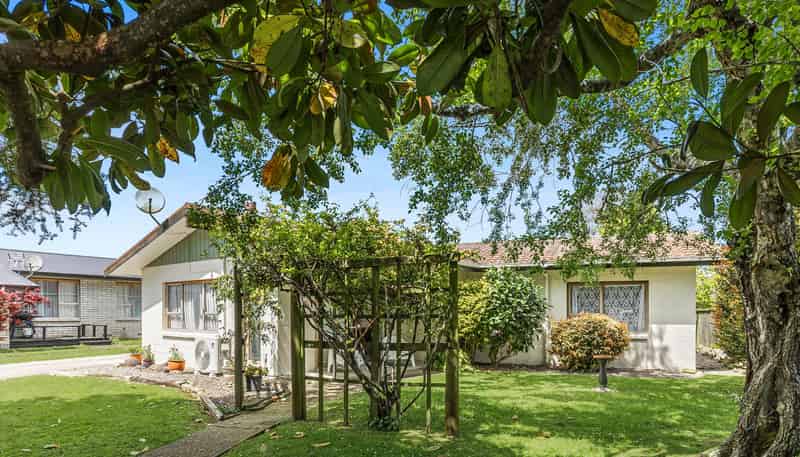 6 Pukatea Place, Matamata