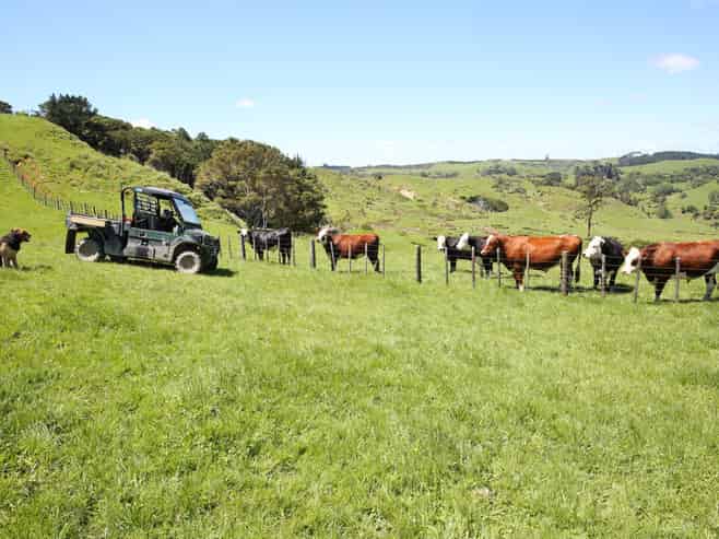 357 Onewhero-Tuakau Bridge Road, Onewhero