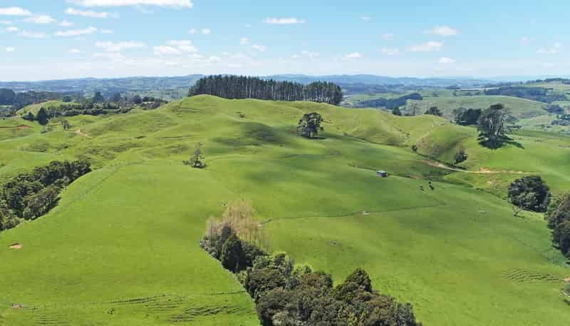 357 Onewhero-Tuakau Bridge Road, Onewhero