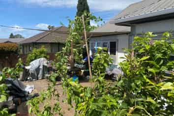 43B Twentieth Avenue, Tauranga South