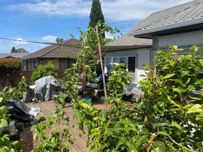 43B Twentieth Avenue, Tauranga South