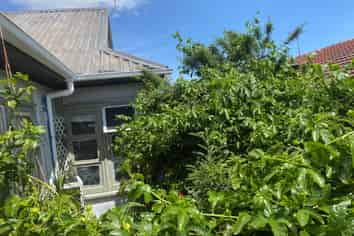 43B Twentieth Avenue, Tauranga South