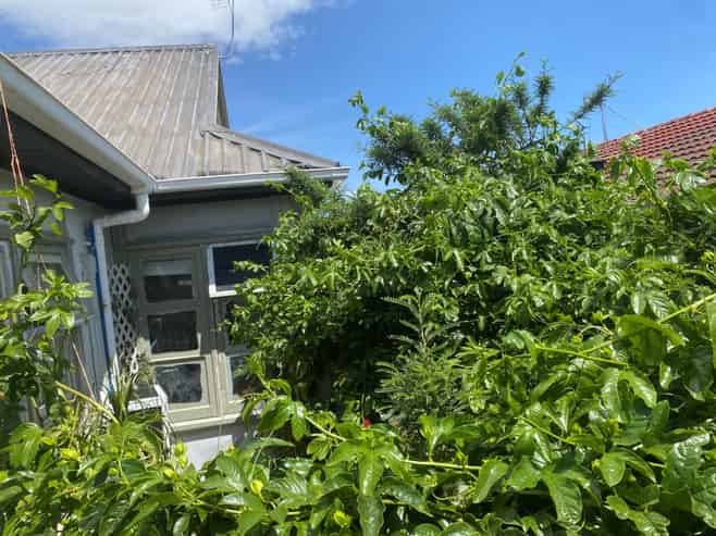 43B Twentieth Avenue, Tauranga South