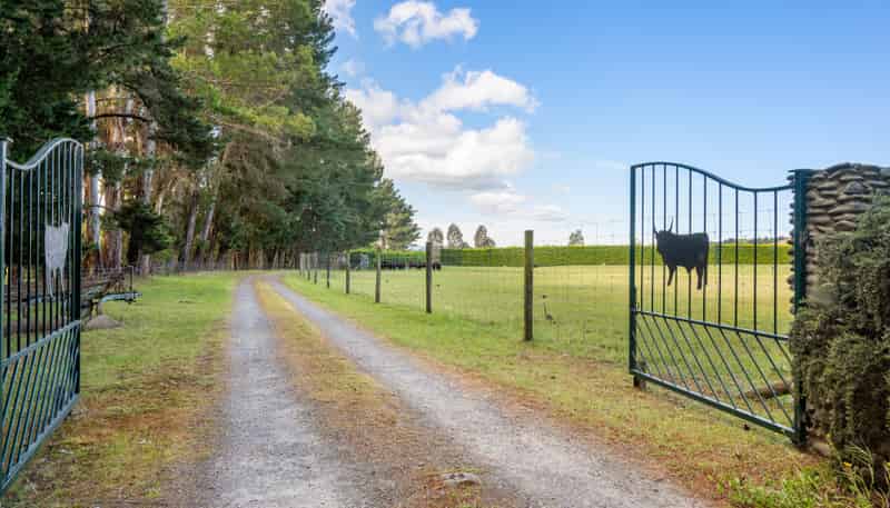 1944 State Highway 63, Wairau Valley
