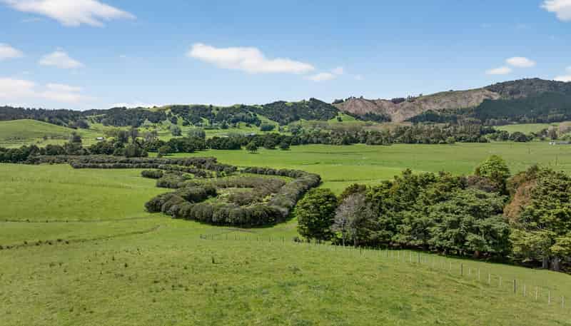 54 Edgerley Road, Warkworth
