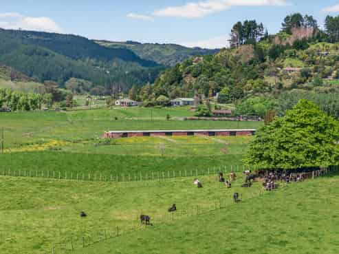 54 Edgerley Road, Warkworth