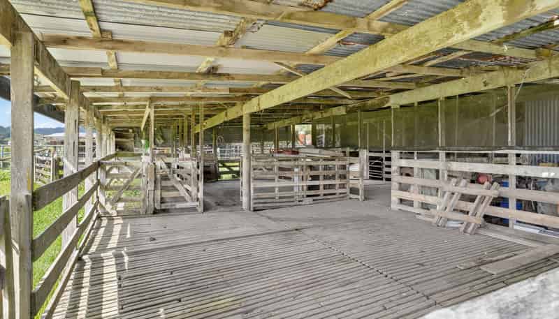 54 Edgerley Road, Warkworth