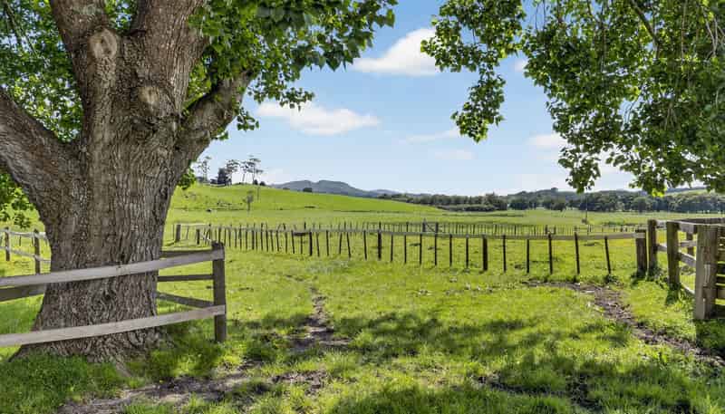 54 Edgerley Road, Warkworth