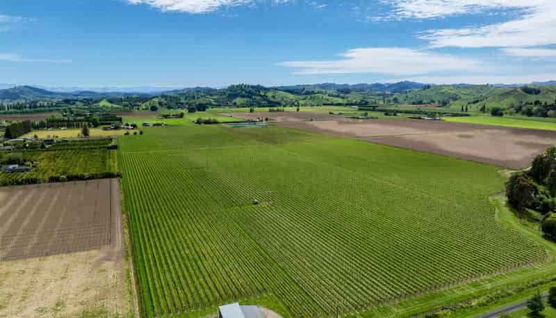  Whitmore Road, Ormond