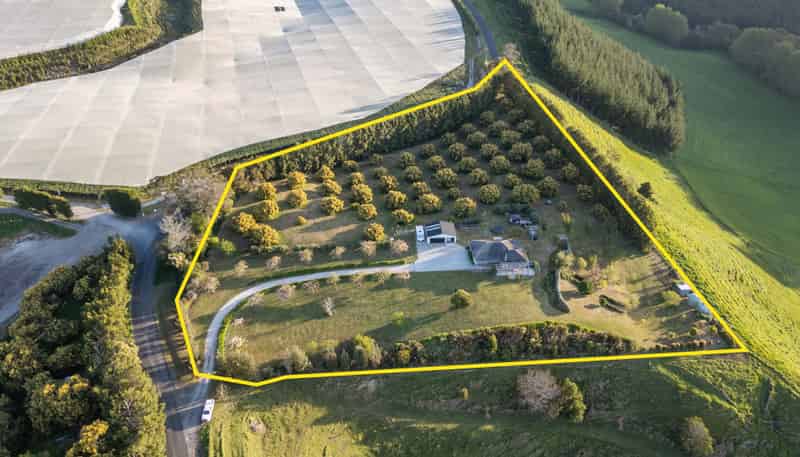 1030 Maniatutu Road, Pongakawa