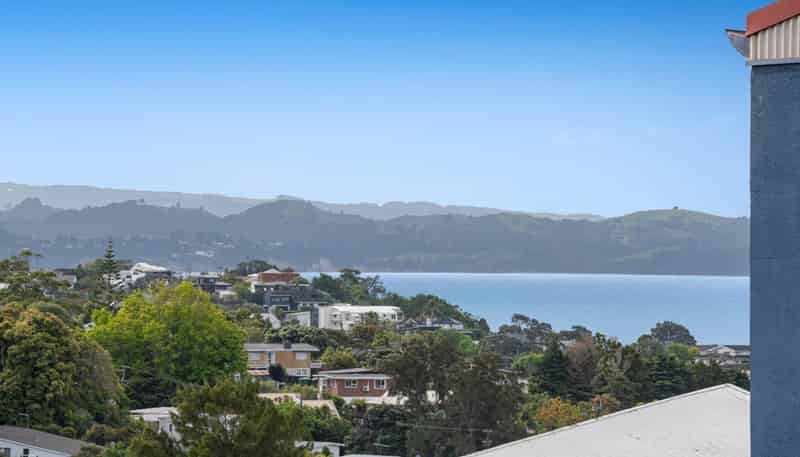 313/17 Link Crescent, Stanmore Bay