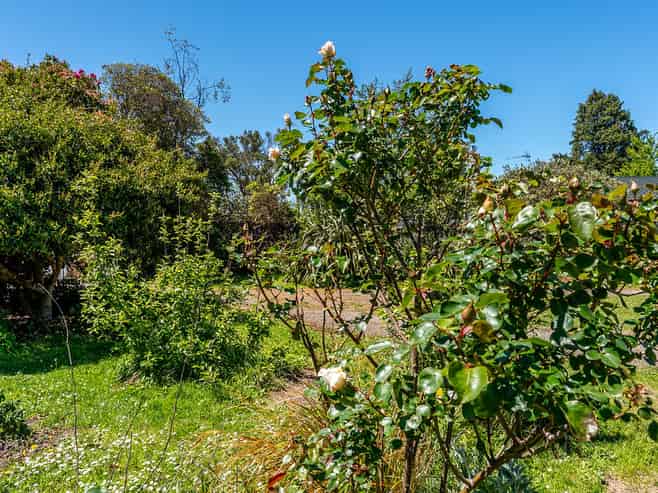 15A Kent Street, Carterton