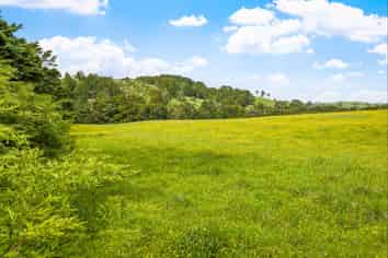 723 Whangaripo Valley Road, Whangaripo