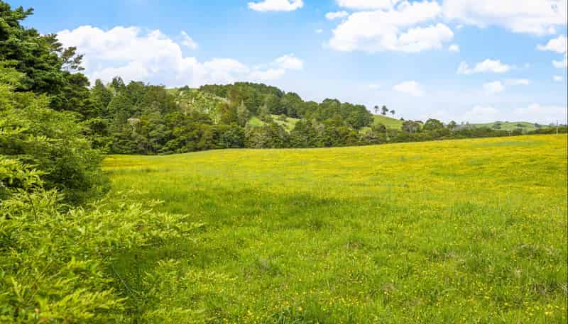 723 Whangaripo Valley Road, Whangaripo