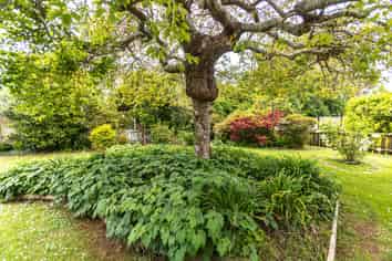 33a Ainslie Road, Paeroa