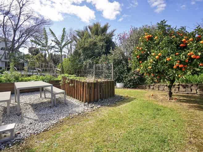 2 Cooney Place, Te Puke