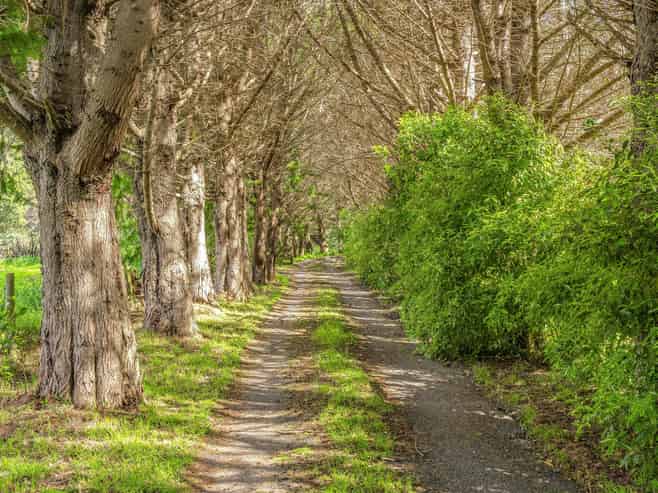 48 Eucalyptus Way, PARAPARAUMU