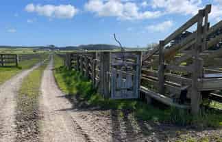 110 Tennants Road, Bulls